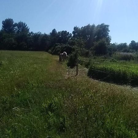 Maison Individuelle 5 Couchages Dans Ferme Equestre Aups Zewnętrze zdjęcie
