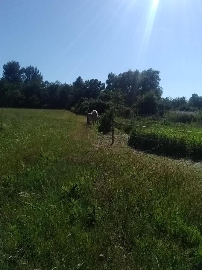 Maison Individuelle 5 Couchages Dans Ferme Equestre Aups Zewnętrze zdjęcie